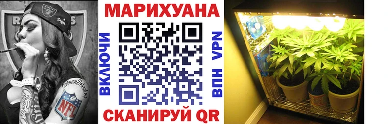 Как найти наркотики Коряжма КОКАИН Меф мяу мяу hydra Кодеин Каннабис Гашиш
