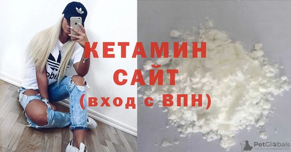 сатива Арсеньев