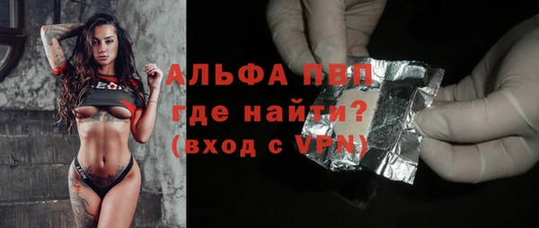 сатива Арсеньев