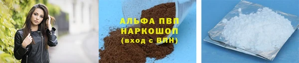сатива Арсеньев
