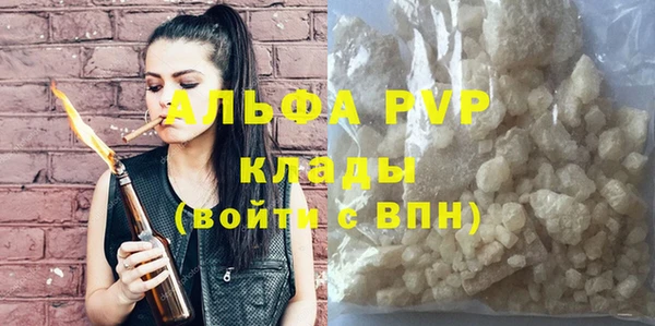 сатива Арсеньев