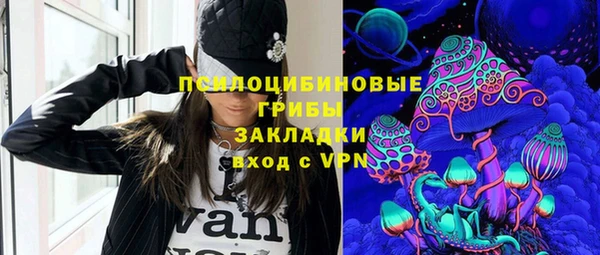 ПСИЛОЦИБИНОВЫЕ ГРИБЫ Аркадак