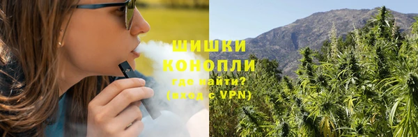 сатива Арсеньев