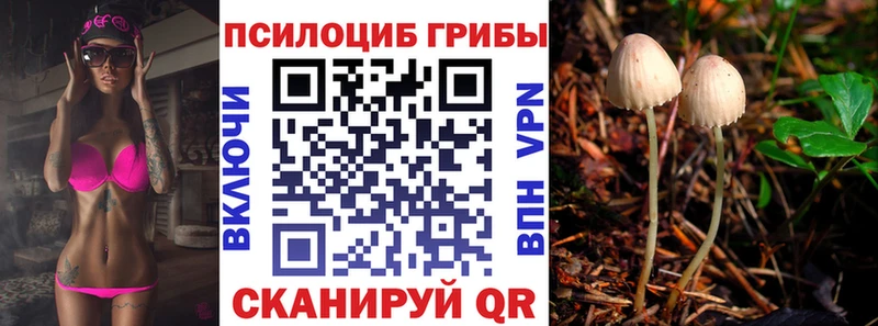 купить наркотик Коряжма Псилоцибиновые грибы Psilocybe