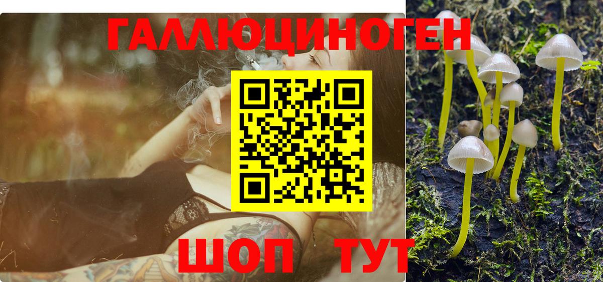 Галлюциногенные грибы GOLDEN TEACHER Коряжма