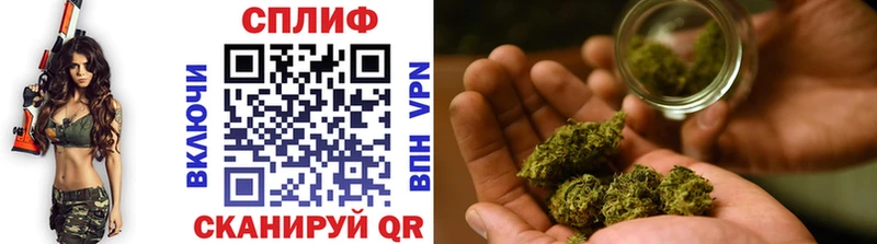 купить закладку  Коряжма  Бошки Шишки план 
